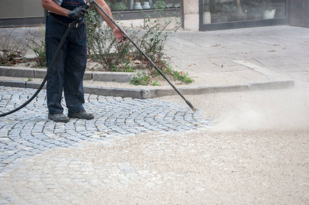 Best Building Exterior Washing  in Harlem, FL