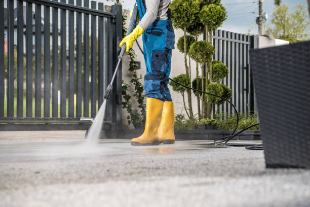 Best Spring Cleaning  in Harlem, FL